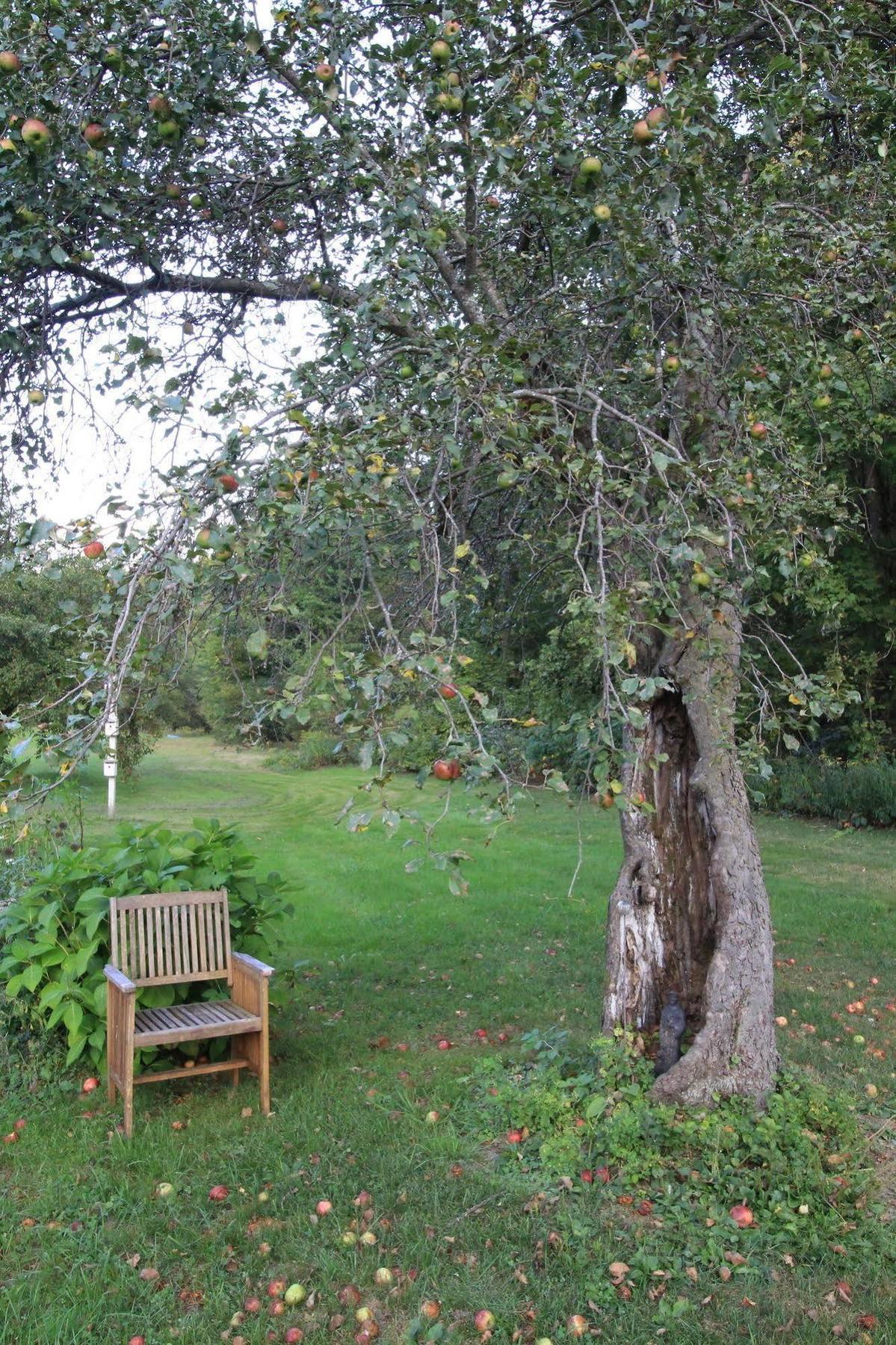 Sandgate Green River Inn מראה חיצוני תמונה